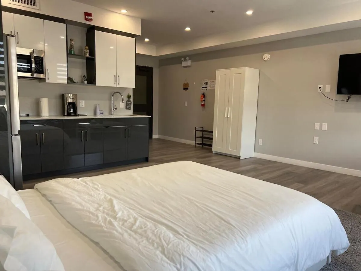 Prime Modern Studio Apartment Near Downtown 温尼伯 加拿大